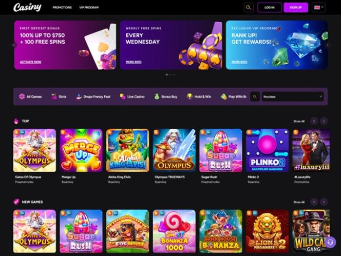 Discover the Exciting World of Online Gaming with Casiny1 8