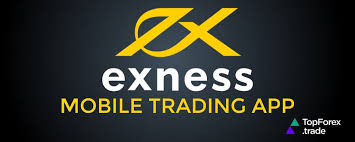 Unlocking the Power of Exness WebTrader Your Comprehensive Guide