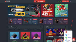 Типичные ошибки при ставках на крикет и как их избежать